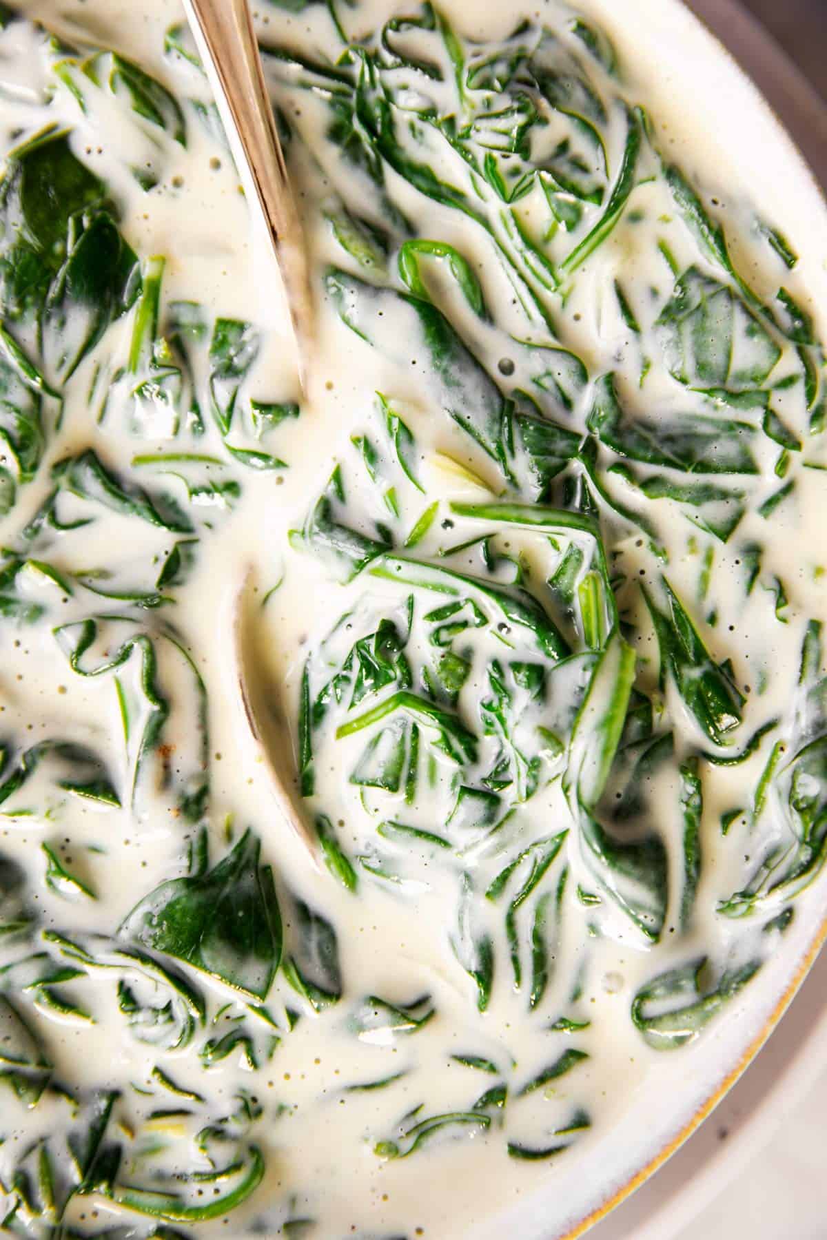 overhead close up view of bowl with creamed spinach