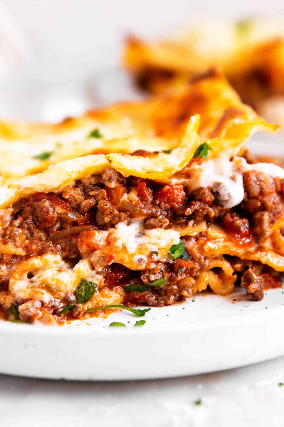 close up photo of slice of lasagna on white plate