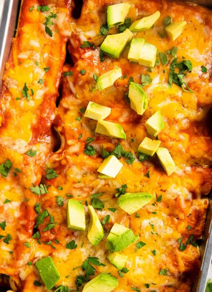 overhead view of chicken enchiladas in casserole dish, topped with cilantro and avocado