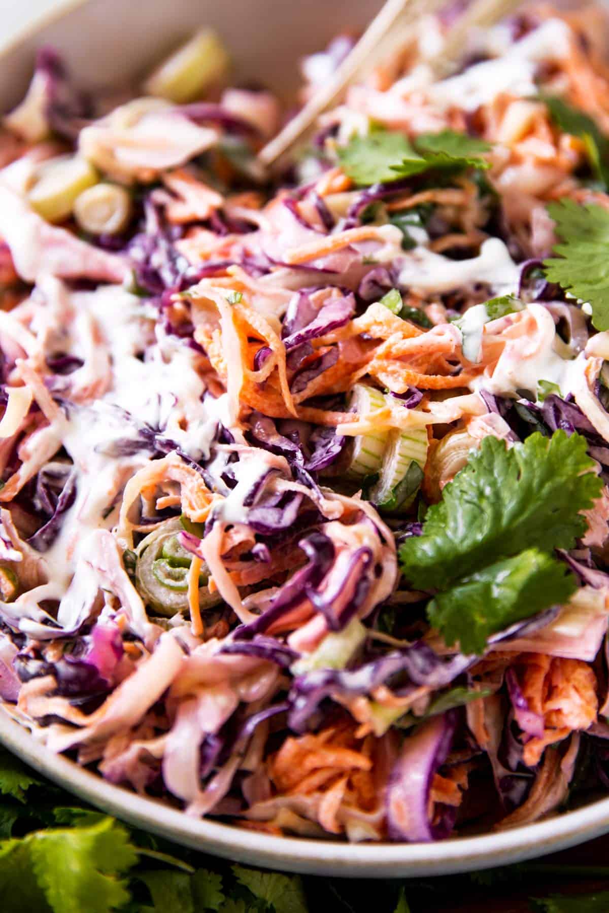 close up photo of cilantro lime slaw