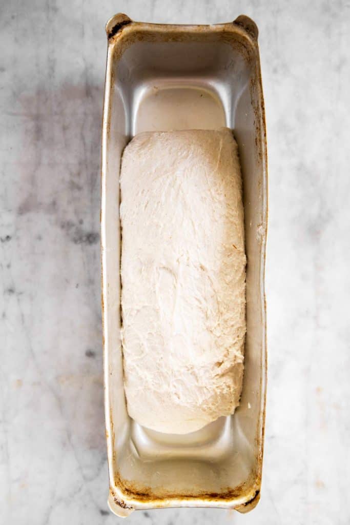 sourdough bread in loaf pan before first rise