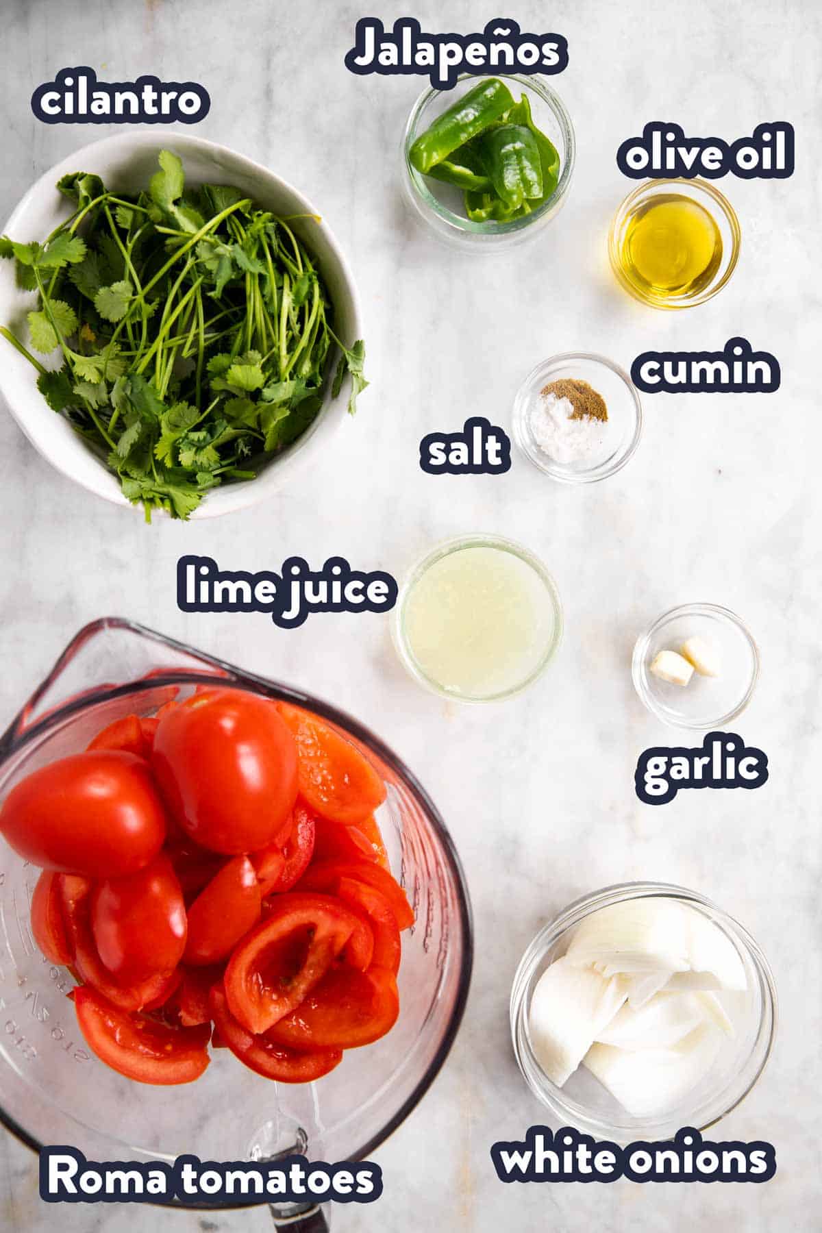 ingredients for fresh salsa with text labels