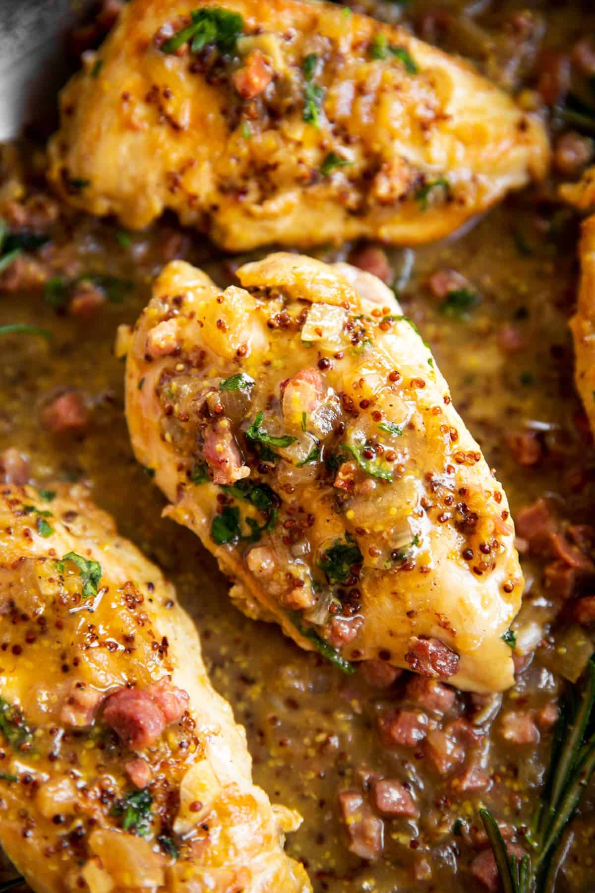 overhead view of three chicken breasts in honey mustard sauce with bacon