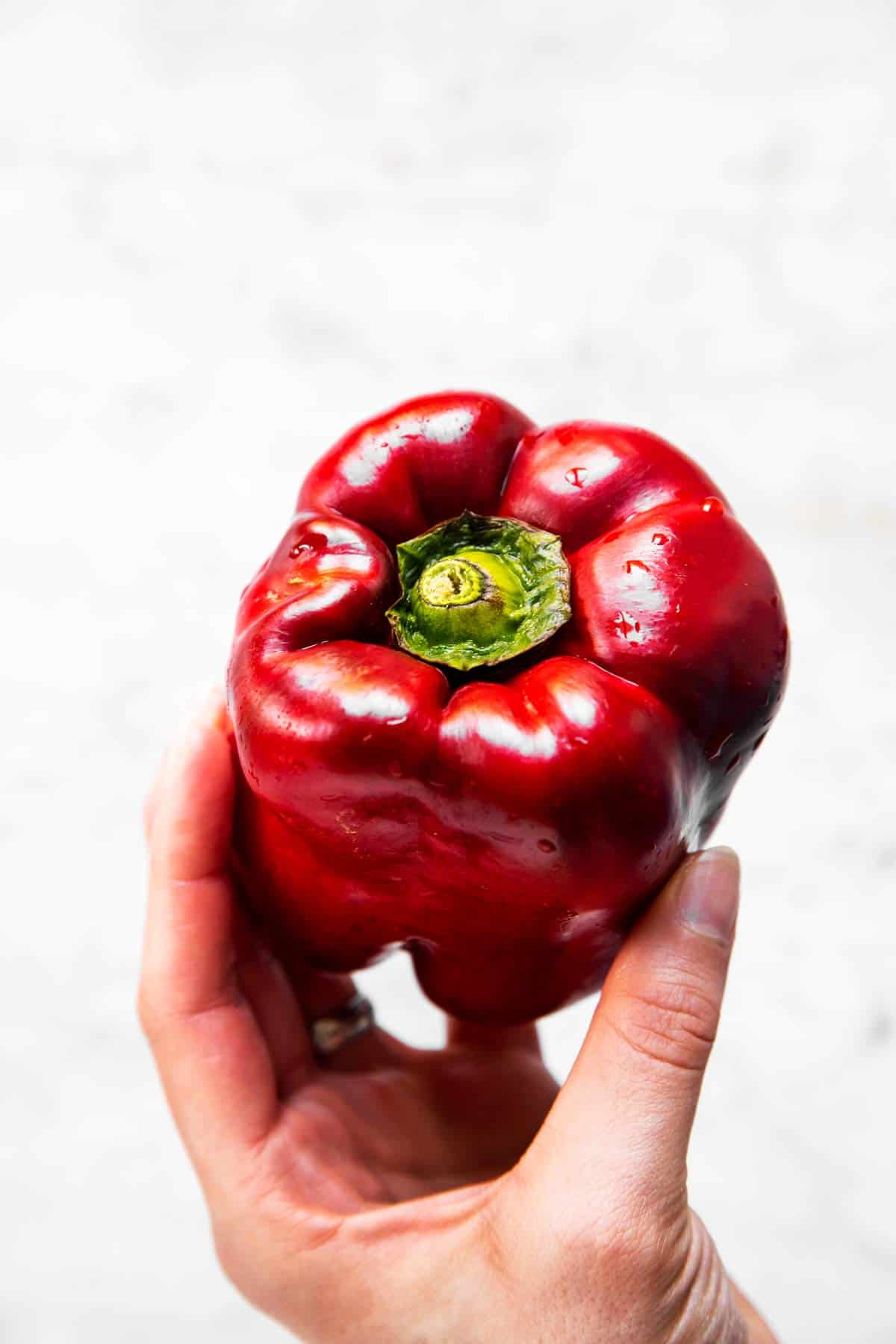 female hand holding a red bell pepper