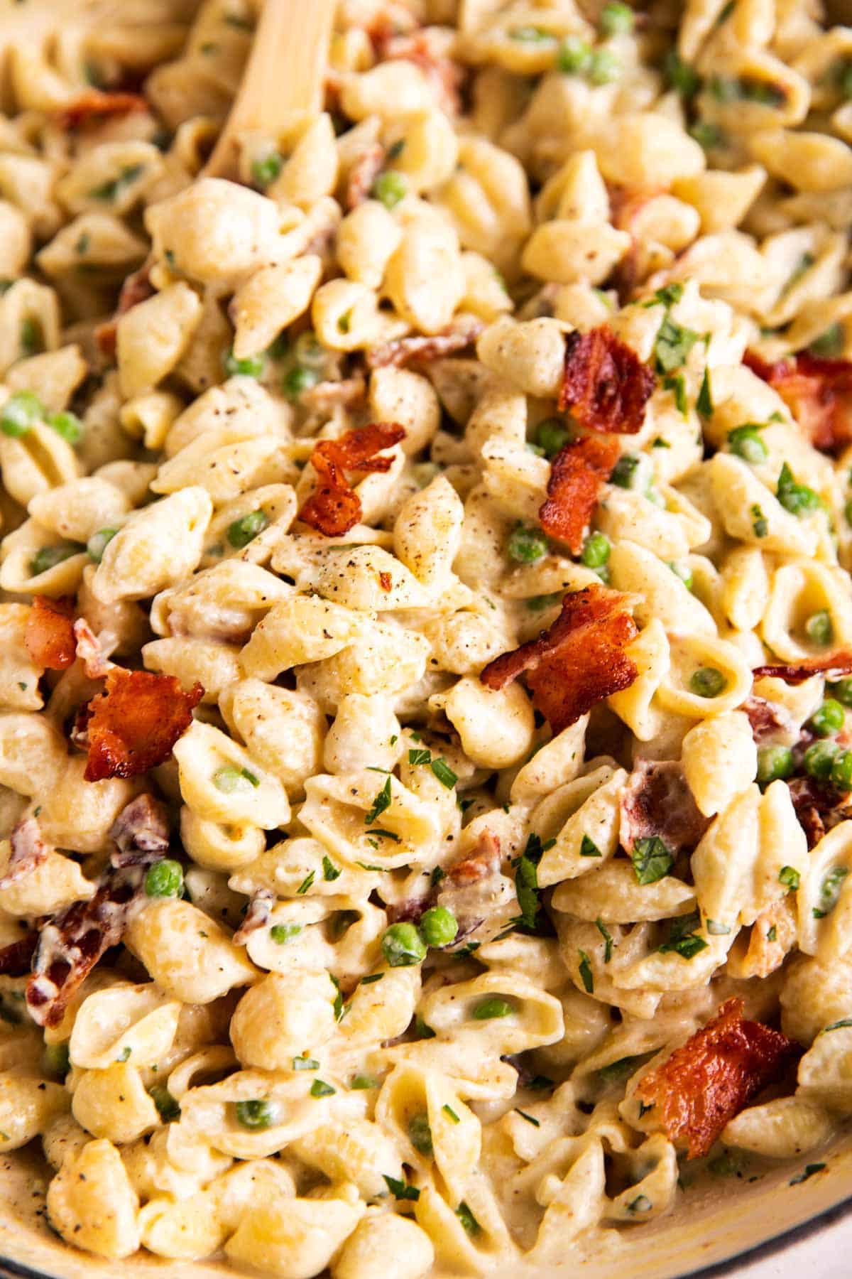 close up photo of pea and bacon pasta