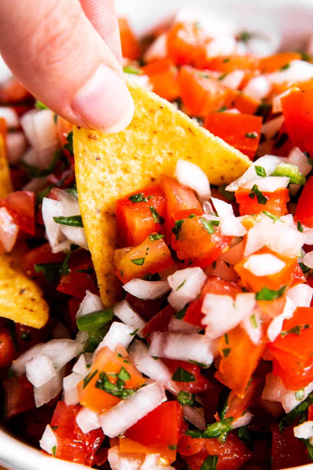 female hand scooping pico de Gallo with a corn chip