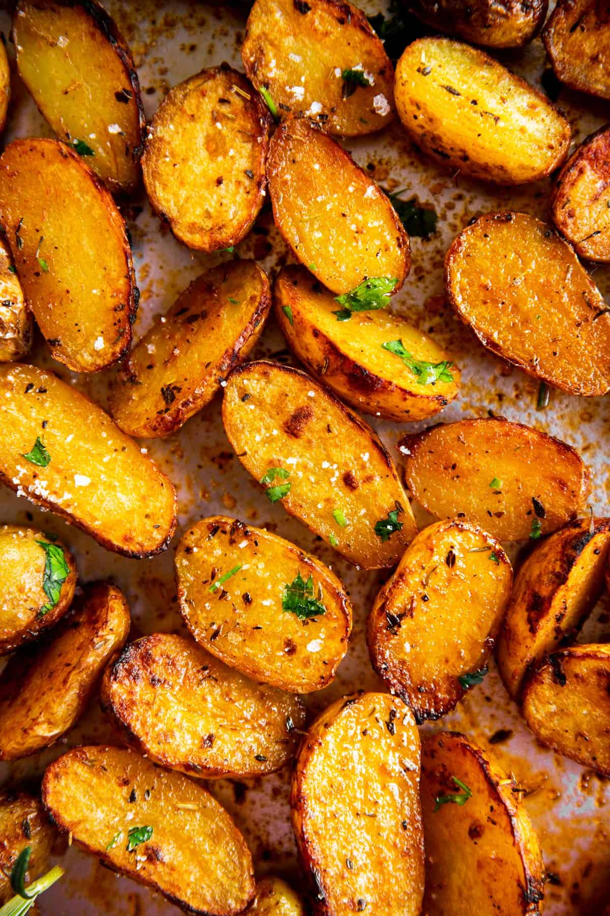 overhead view of roasted baby potatoes in single layer on pan