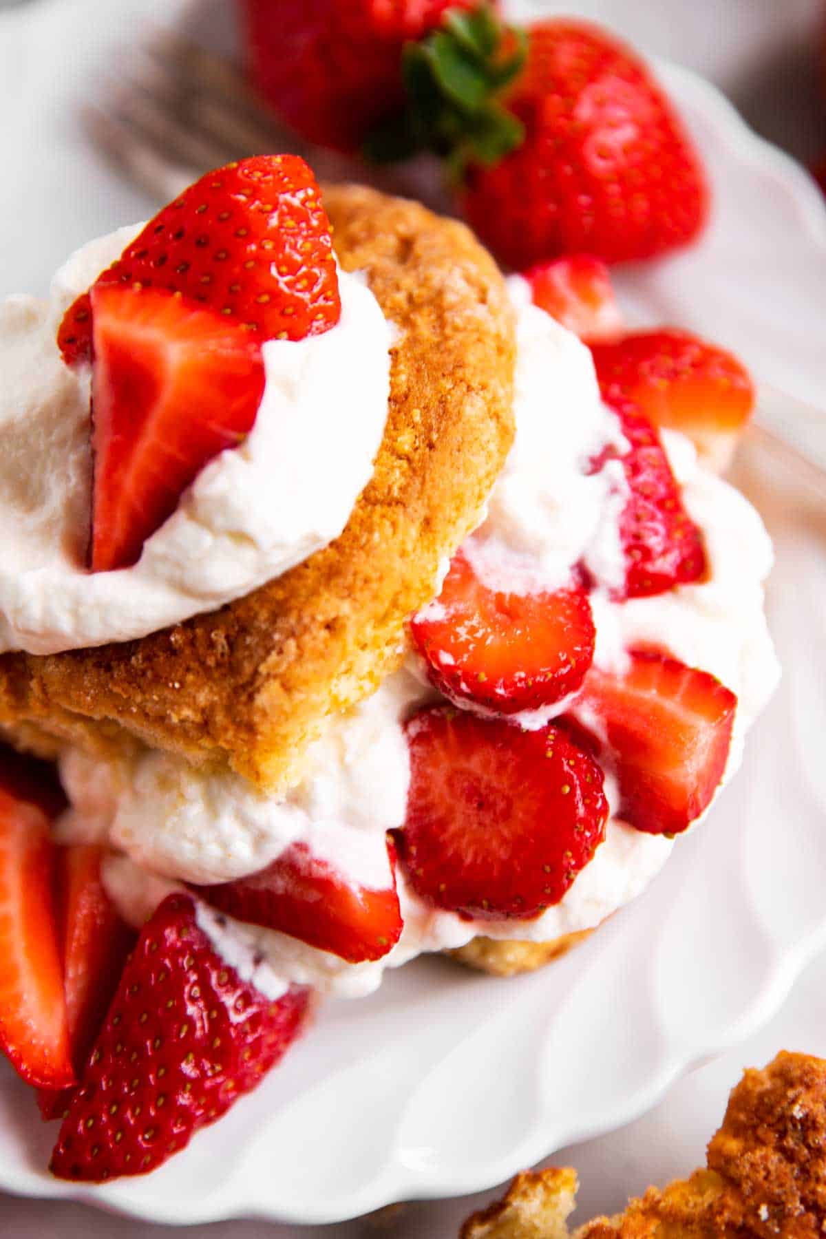 overhead view of assembled strawberry shortcake