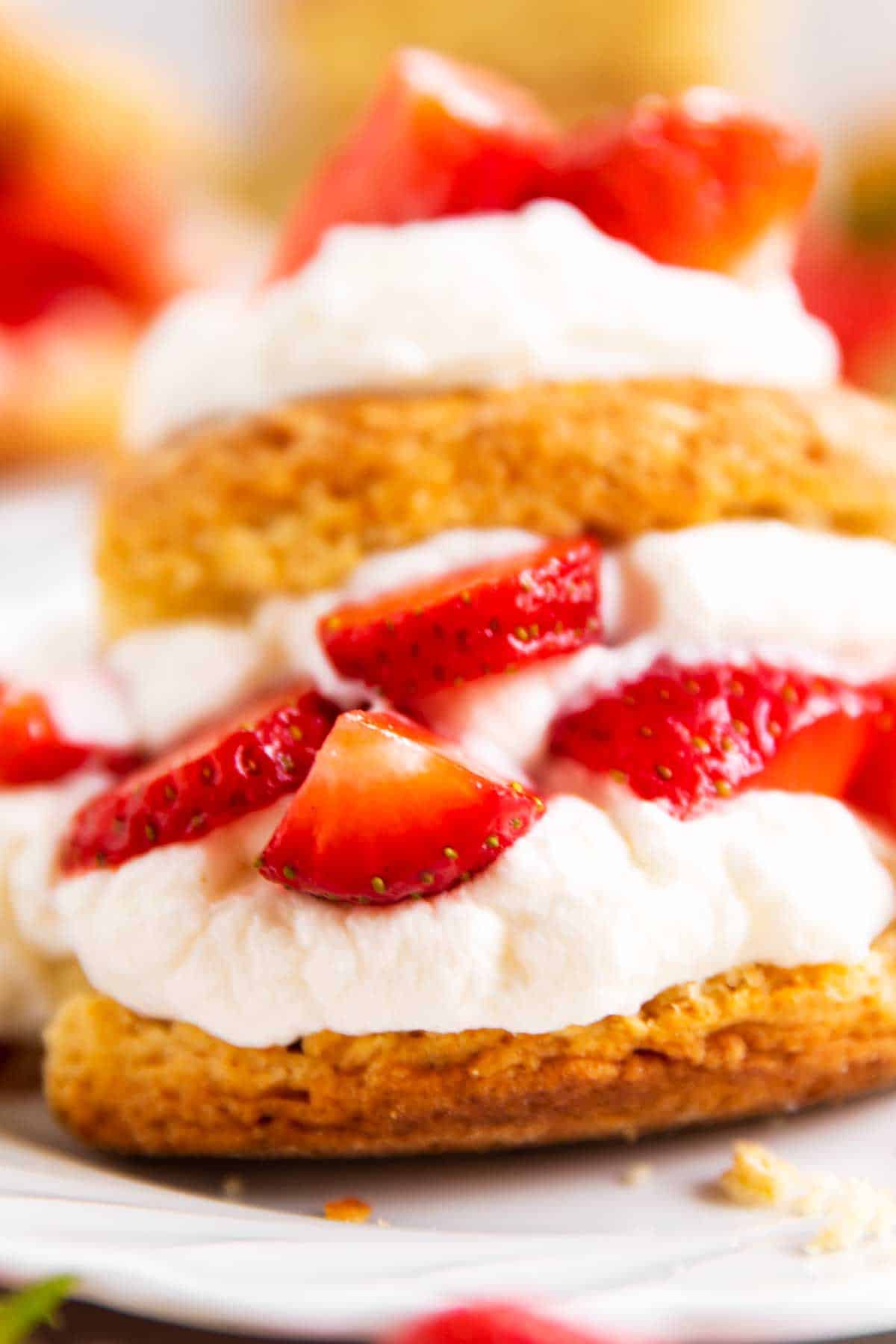 close up photo of strawberry shortcake