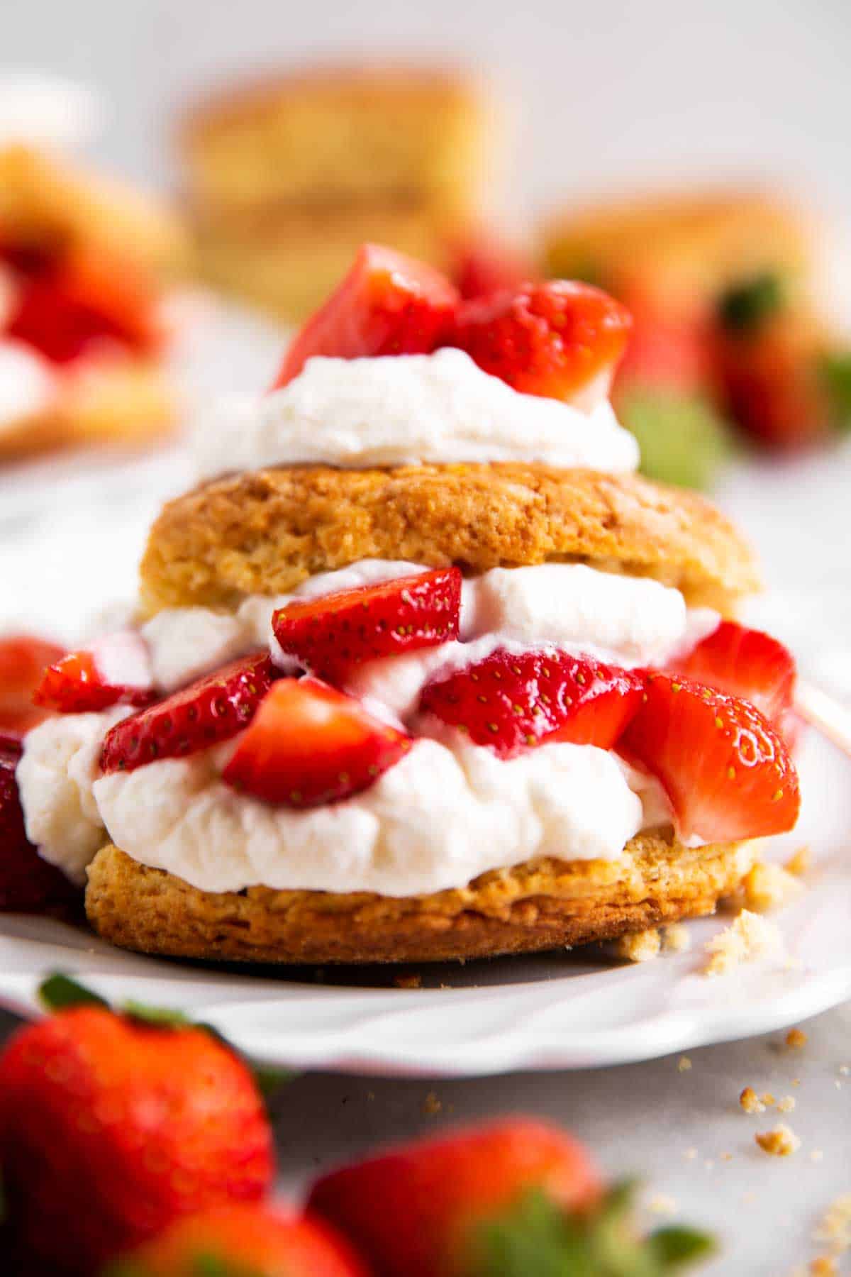 strawberry shortcake on white plate surrounded by fresh strawberries