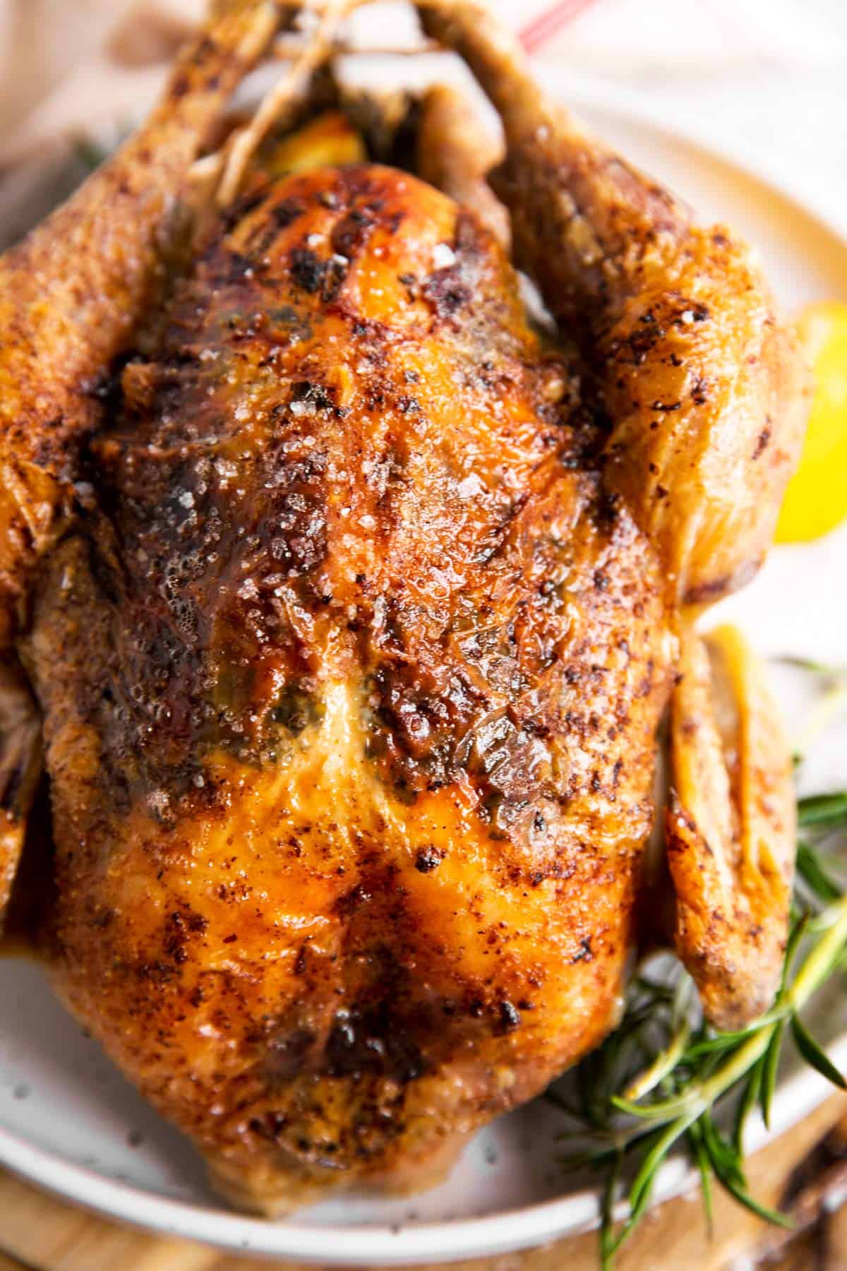 close up photo of a whole roasted chicken