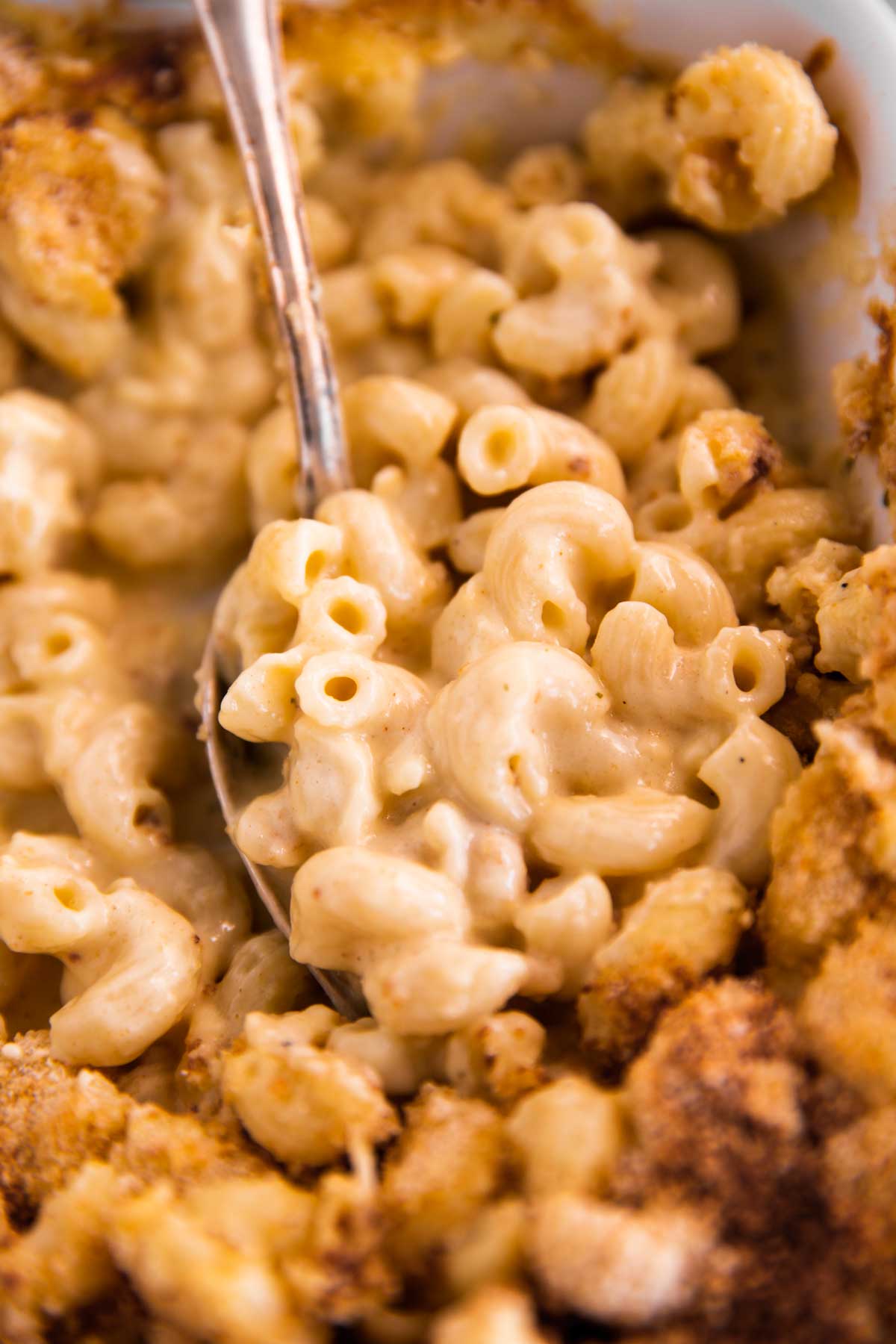 close up photo of spoon stuck in dish with mac and cheese