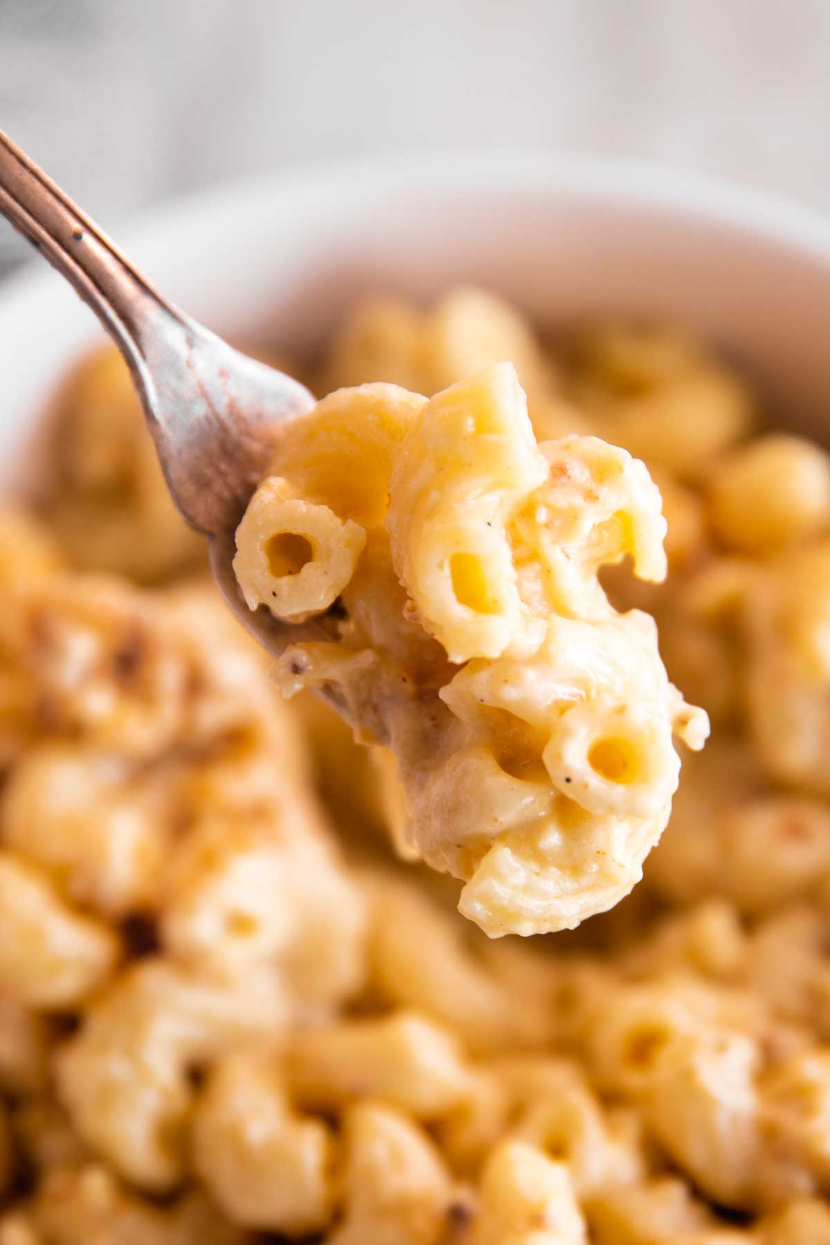 mac and cheese on fork