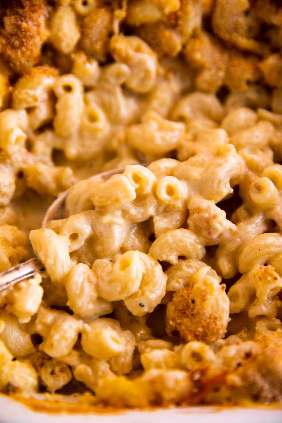 close up photo of macaroni and cheese