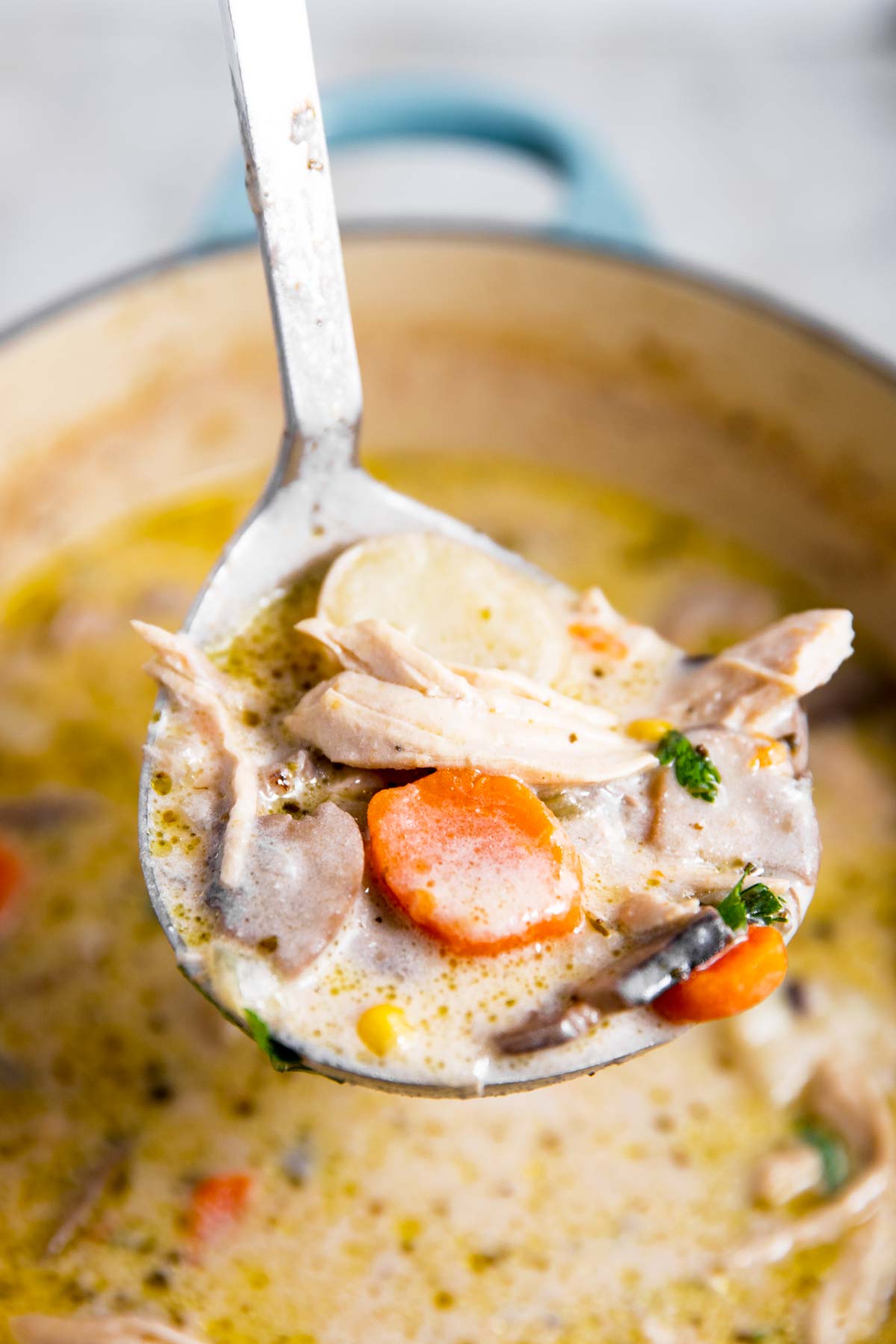 turkey soup on soup ladle