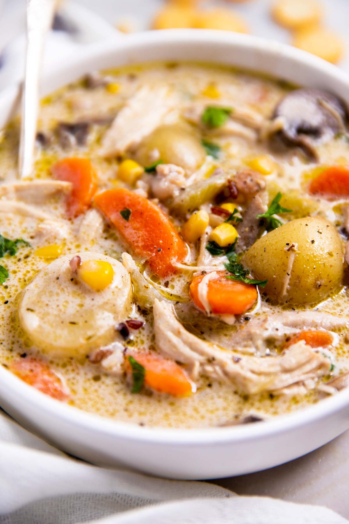 frontal close up view of bowl filled with leftover turkey soup