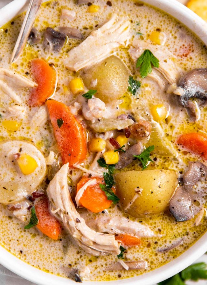 overhead view oh white bowl filled with leftover turkey soup