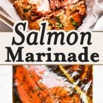 Salmon Marinade Recipe Image Pin 2