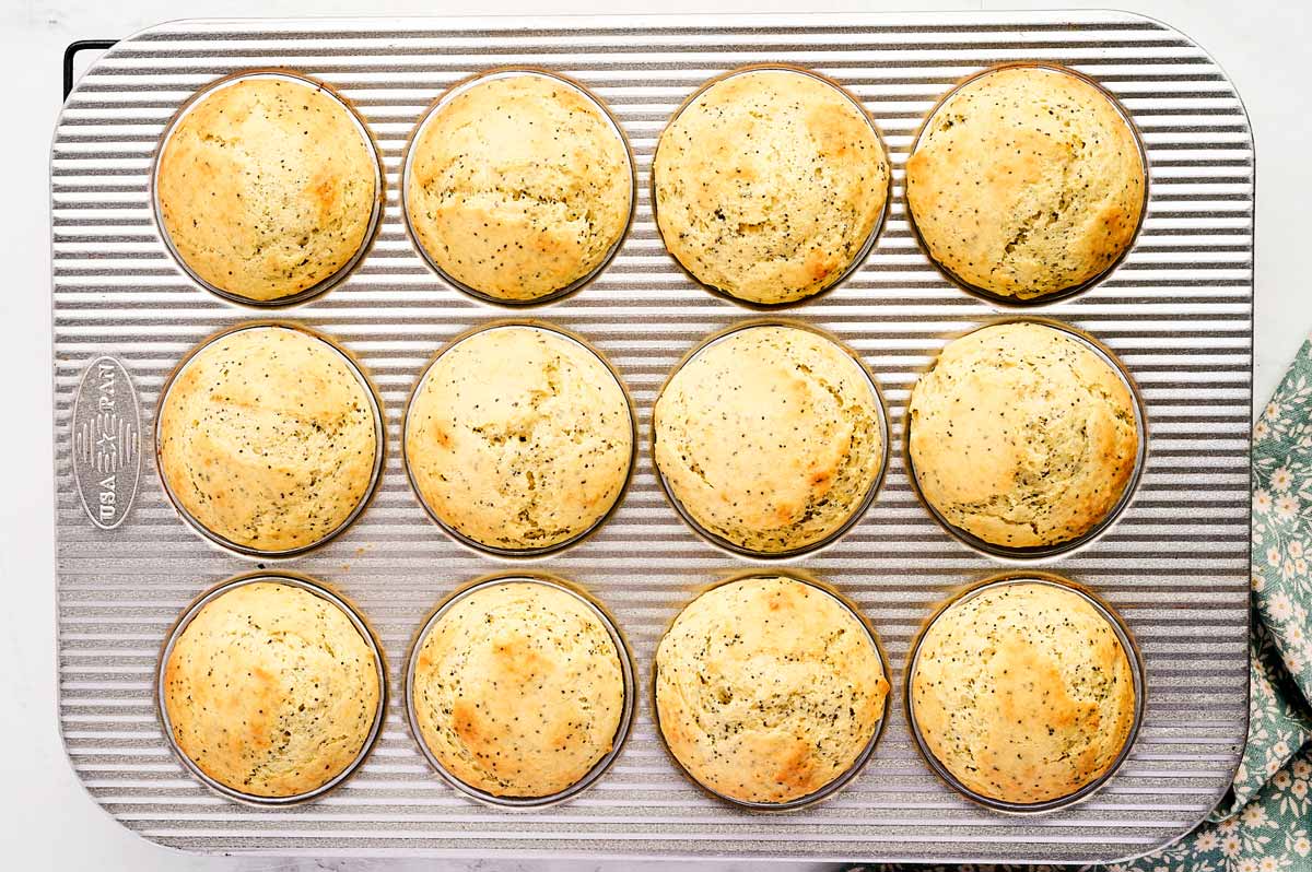 Baked lemon poppy seed muffins in the pan.