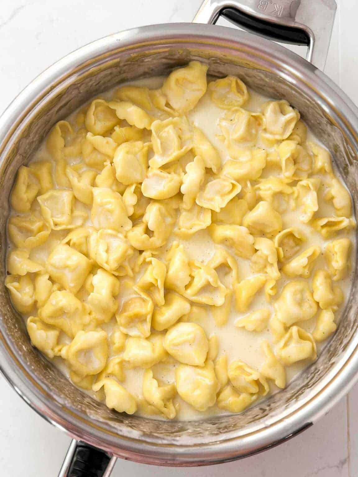 Creamy Garlic Parmesan Tortellini - Savory Nothings