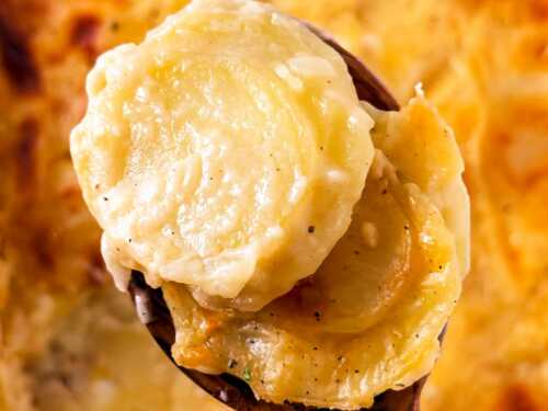 overhead closeup view of scalloped potatoes on a wooden spoon