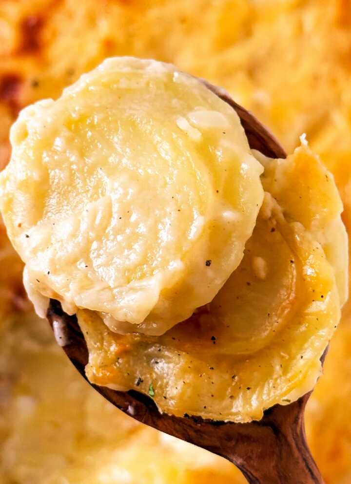 overhead closeup view of scalloped potatoes on a wooden spoon