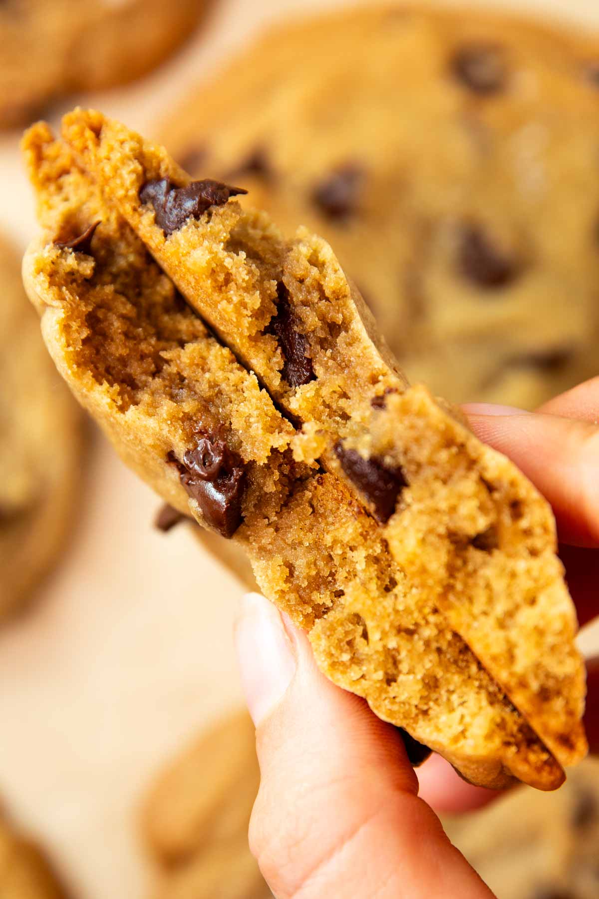 Inside of a chocolate chip cookie.