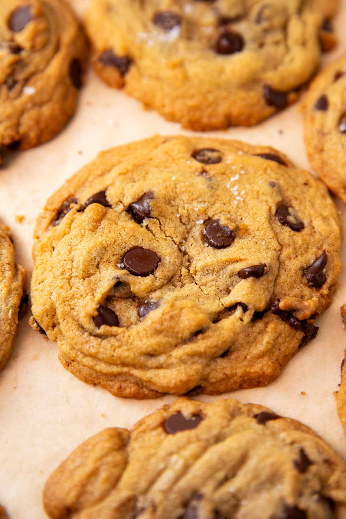Frontal view of chocolate chip cookie.