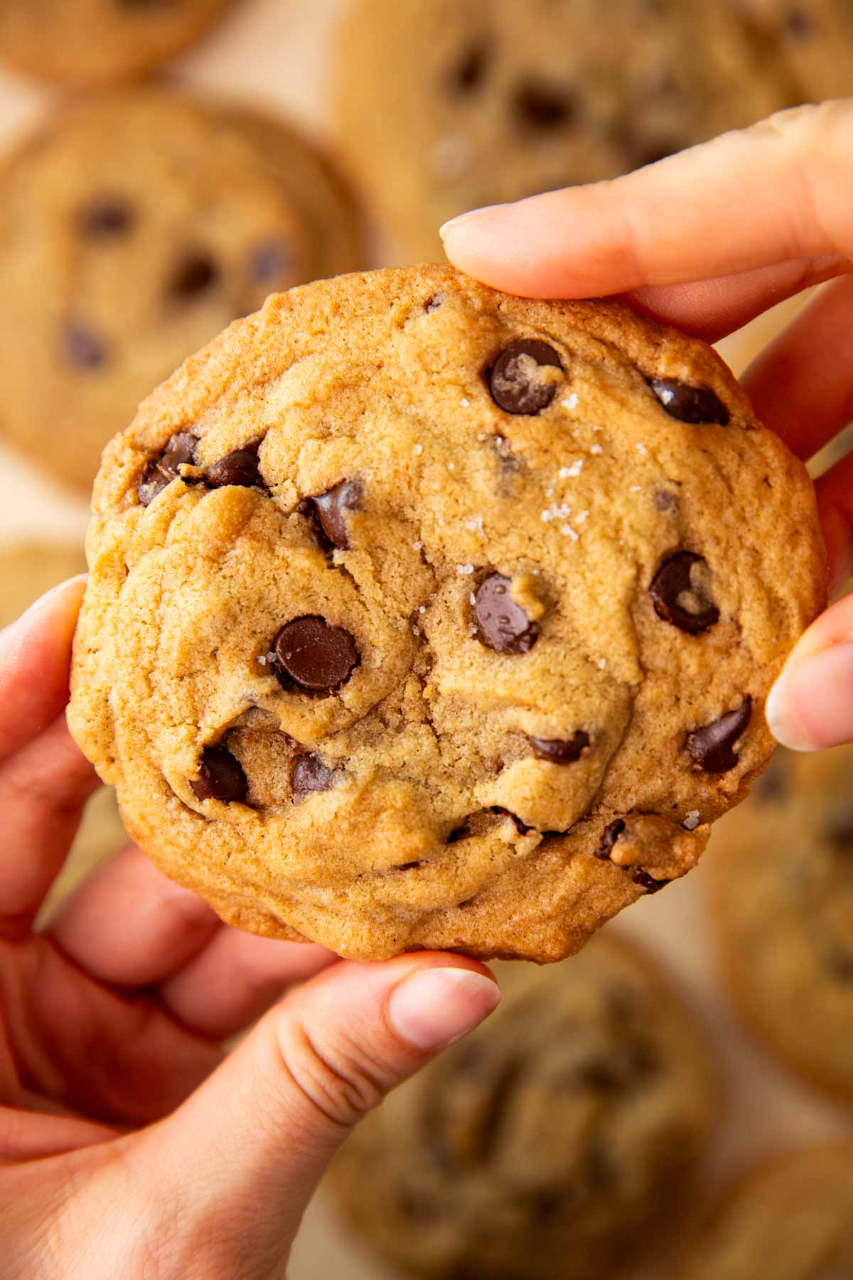Hands holding a chocolate chip cookie.