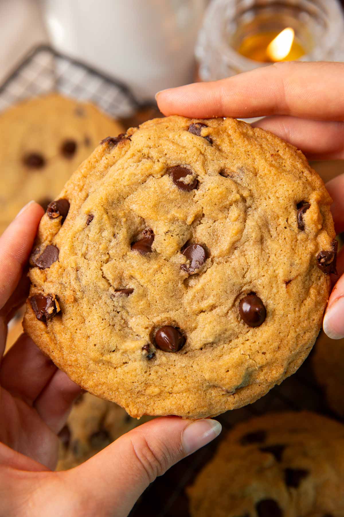 Hands holding a chocolate chip cookie.