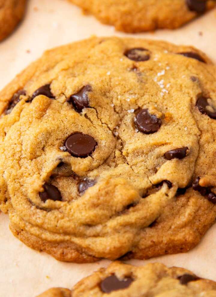 Frontal view of chocolate chip cookie.