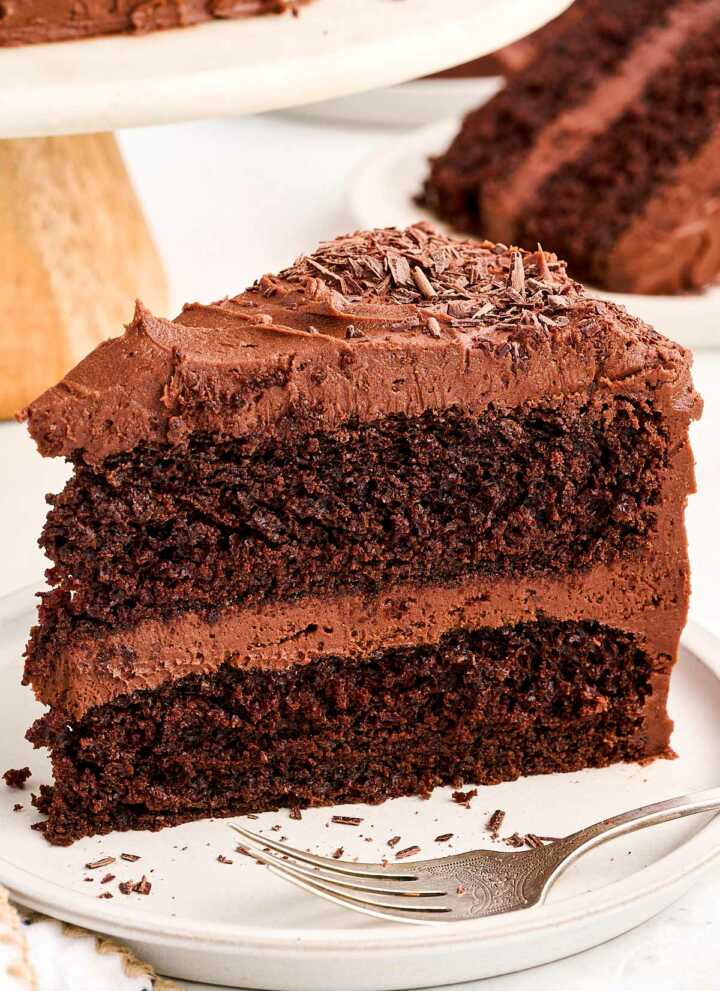frontal view of chocolate cake slice on plate