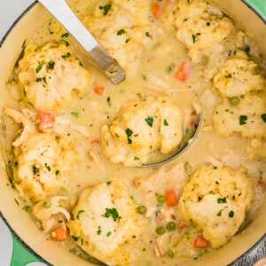 overhead view of Dutch oven chicken and dumplings with ladle in pot