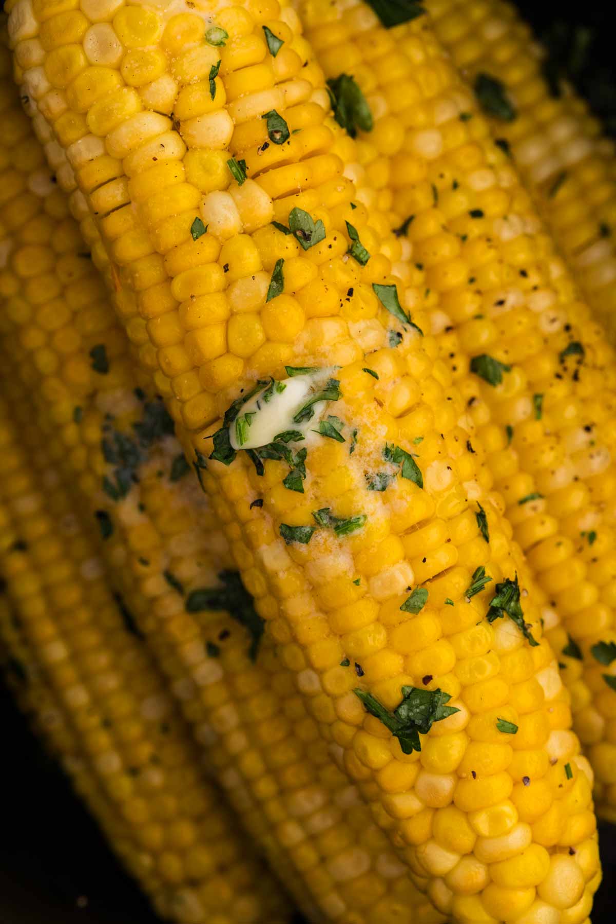 close up of corn on the cob