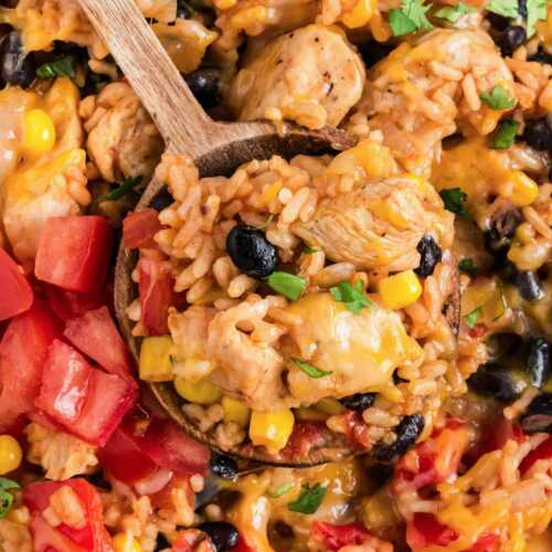 close up of spoon scooping Mexican chicken and rice