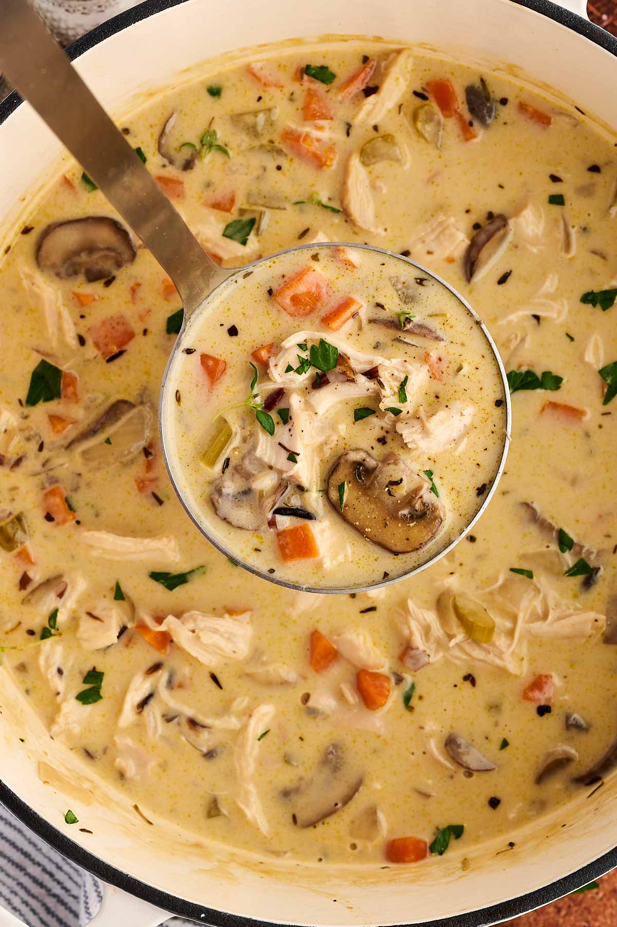 pot of wild rice soup with ladle