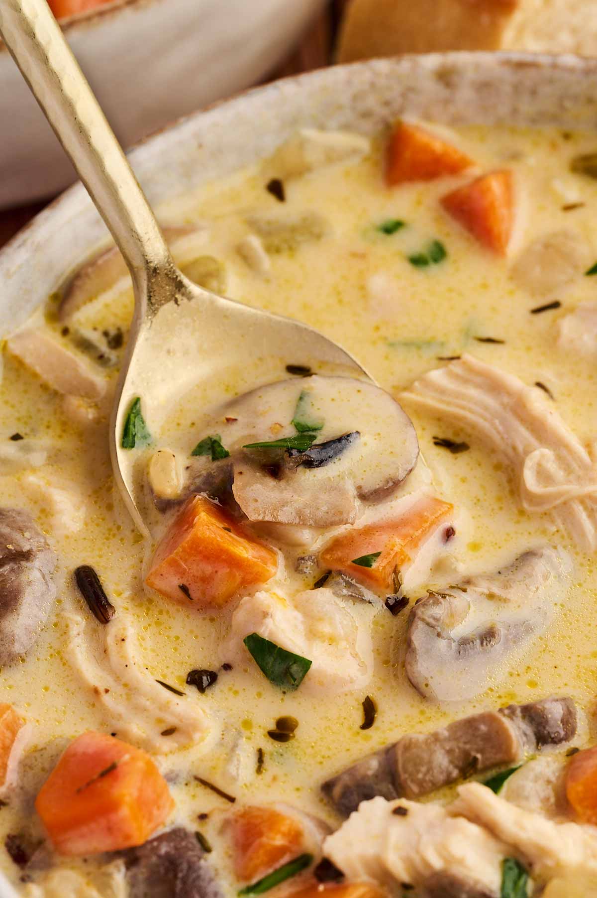 close up of spooning soup