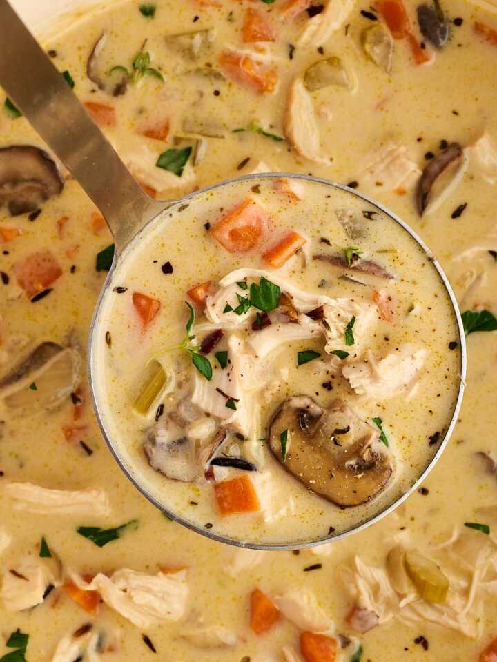 pot of wild rice soup with ladle