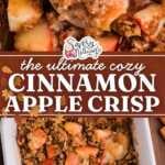 Apple Crisp Pin