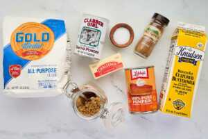 Groceries for pumpkin biscuits.