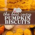 pumpkin biscuits pin