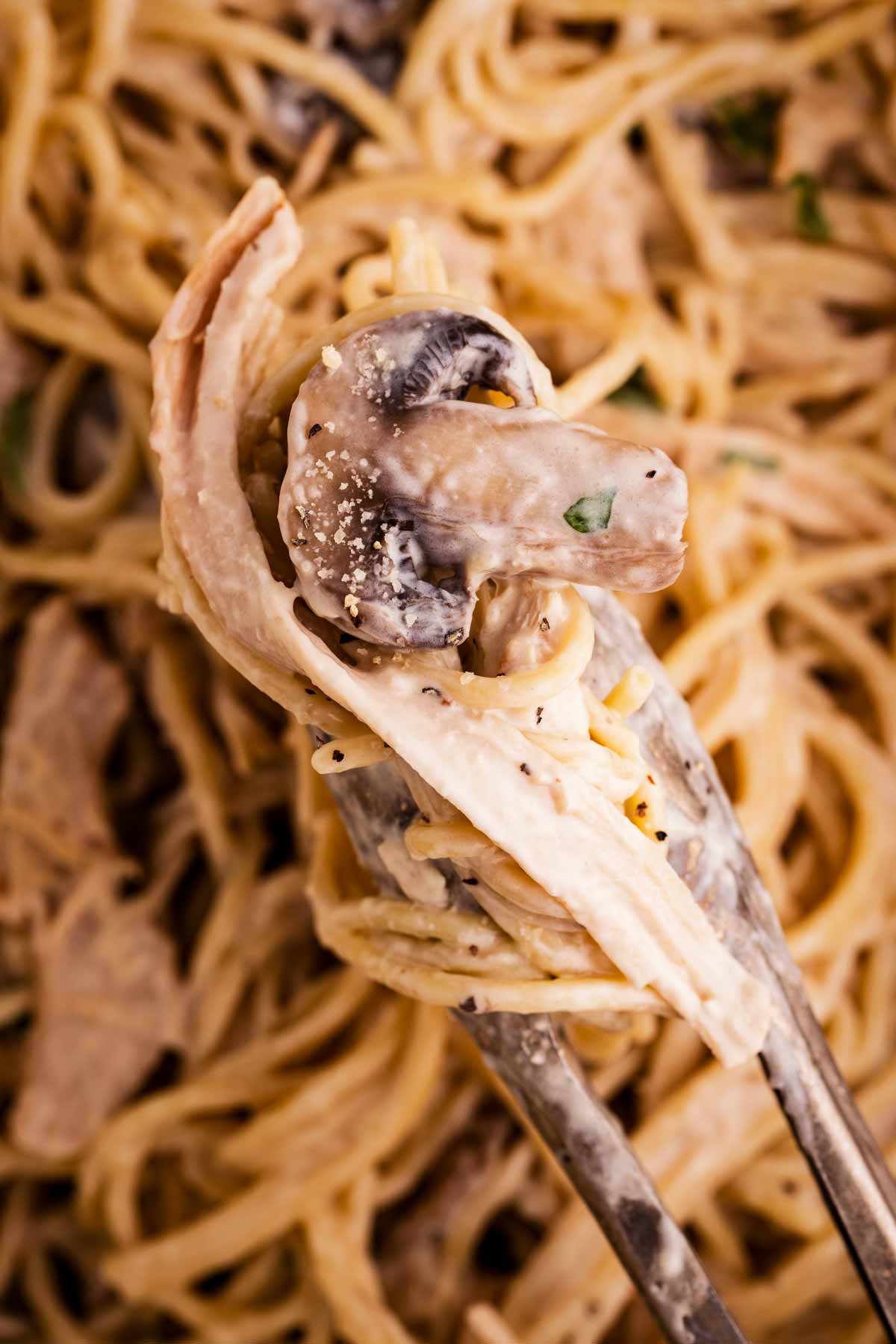 turkey tetrazzini with creamy sauce