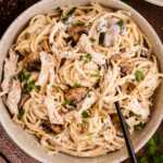 a plateful of turkey tetrazzini