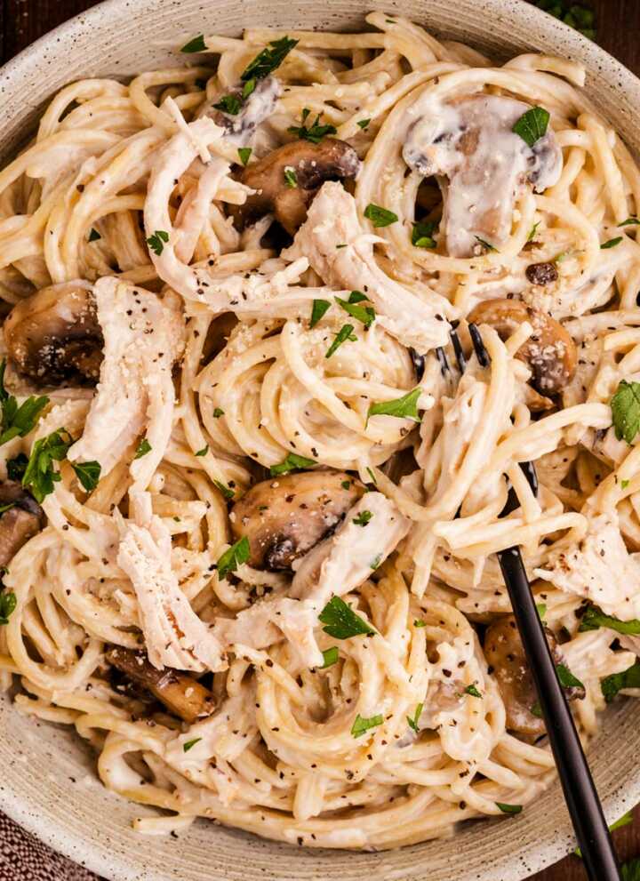a plateful of turkey tetrazzini