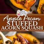 stuffed acorn squash pin