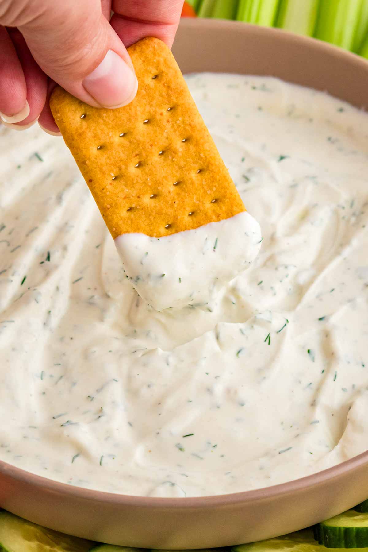 Dipping a cracker into dill dip.