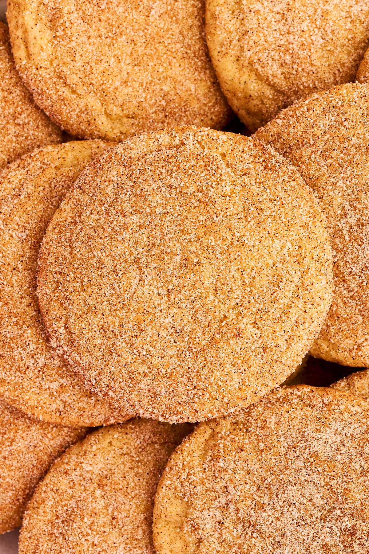 close up of a snickerdoodle cookie