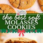 molasses cookies pin