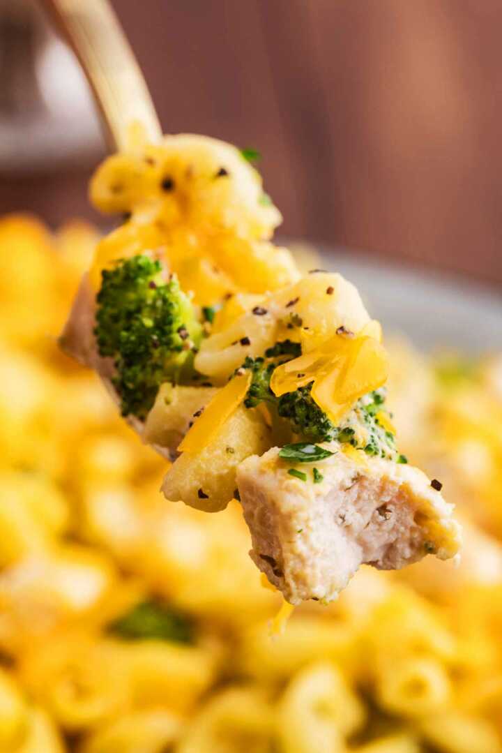 Chicken Broccoli Pasta Casserole Recipe - Savory Nothings