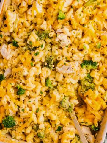Serving chicken broccoli pasta casserole from the dish.